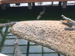 -石家庄市动物园