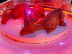 -侏罗纪世界电影特展(广州站)