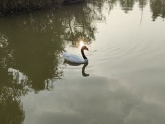 -宁波杭州湾国家湿地公园