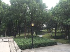 -重庆市江北嘴中央商务区中央公园