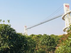 -武汉紫薇都市田园