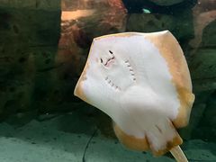 -珠海长隆海洋王国