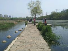 -前关湿地公园