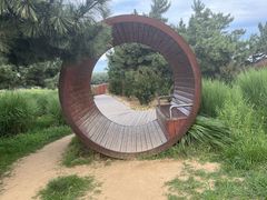 -羊亭河湿地公园