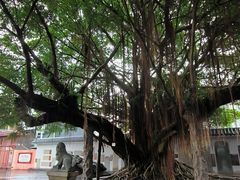 -闽粤南澳总镇府