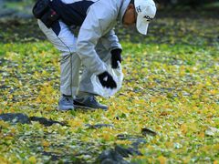 -北海道厅旧本厅舍(旧本庁舎)