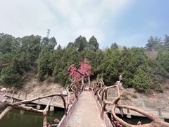 -姜子牙钓鱼台风景区