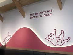 -喵园·猫主题咖啡厅·撸猫·猫咖(国贸店)