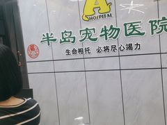 -半岛宠物医院24小时(西派城店)
