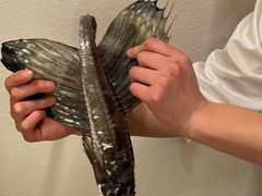 -旬怀石料理(嘉善老市店)