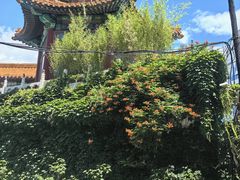 -元大都城垣遗址公园