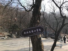 -吉林市朱雀山国家森林公园