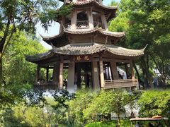 -西溪国家湿地公园