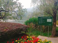 -紫霞湖公园