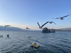 -大理洱海