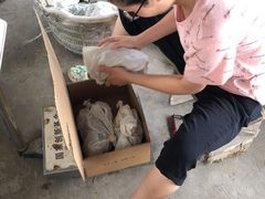 -马陆小张葡萄园农家乐