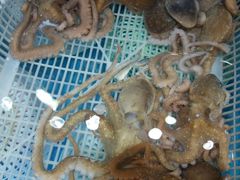 -港畔赶海蒸汽海鲜烧烤自助(仙螺岛店)