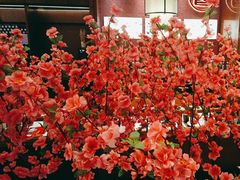 -刘一锅筋头巴脑(大悦城C店)