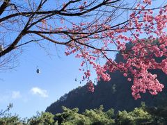 -苍山感通索道