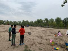 -东郊湿地公园