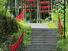 -东明山森林公园