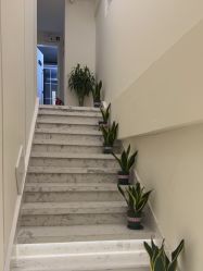 -海涛医疗美容·面部抗衰·注射美鼻