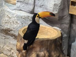 -Zoolung Zoolung动物主题公园(海信广场店)