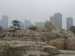 -武汉动物园