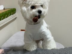 -宠颐生斯嘉宠物医院·急重症·心内科(谷阳北路分院)