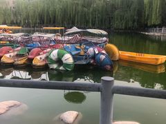 -莲湖公园