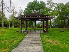 -苏州太湖湖滨国家湿地公园