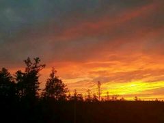 -北极村旅游风景区