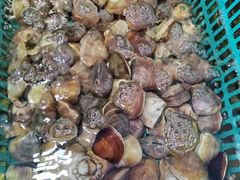 -景隆乳鸽王海鲜餐厅(溪涌店)