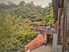 -鲤鱼塘农家山庄