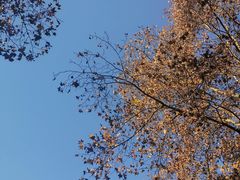 -阿哈湖国家湿地公园