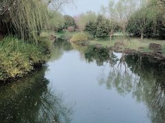 -上海滨江森林公园