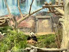 -石排湾郊野公园