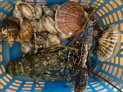 -澳门环岛游湾仔码头