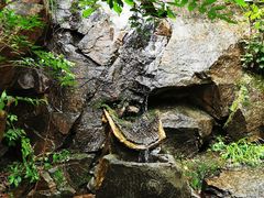 -黑龙潭风景区