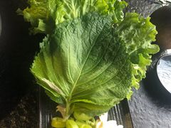 生菜-炭虎烤肉(桂林路店)