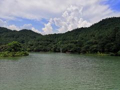 -广州白江湖森林公园