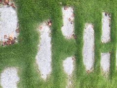 -同济大学(嘉定校区)