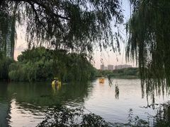 -杭州城北体育公园