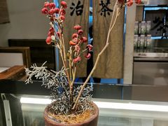 -成川茶店·潮汕工夫浓茶(万象店)