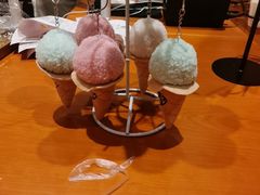 -野人先生现做冰淇淋(北京环宇荟店)