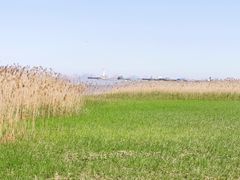 -上海吴淞炮台湾国家湿地公园