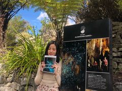 -怀托摩萤火虫洞