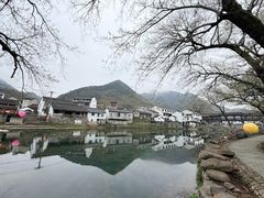 -鹿亭中村