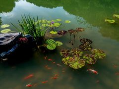 -云溪植物园