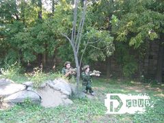 -滨江森林公园-真人CS野战场